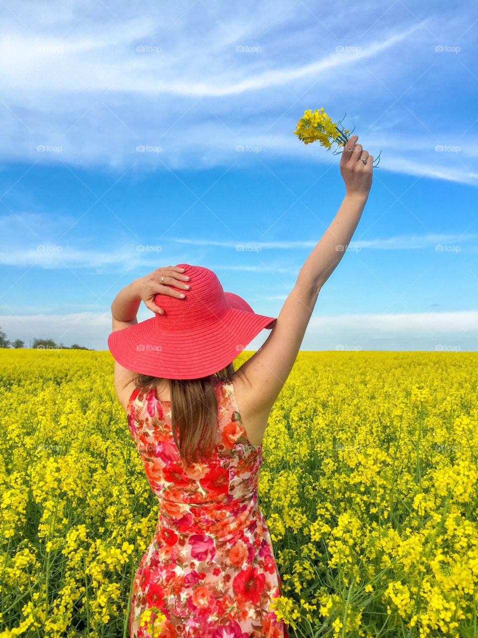 Back of woman in a canola field wearing red dress and red summer hat and holding canola flowers in her hand