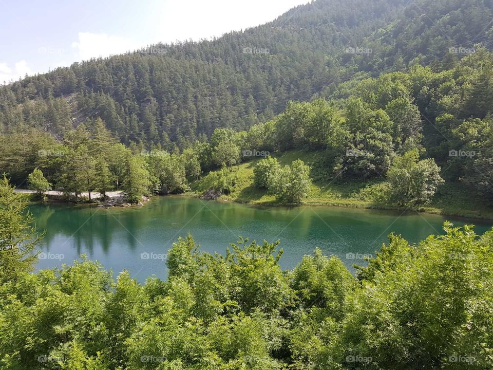 A lake in the middle of the forest