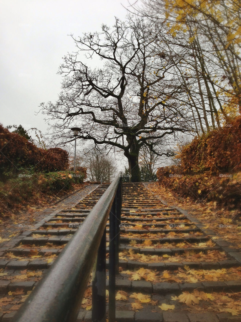 sky fall three stairs by thomaslykke.rasmussen.9