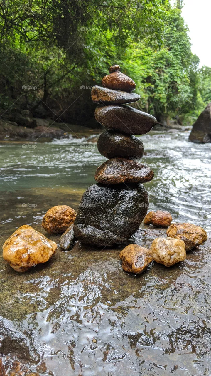 nature