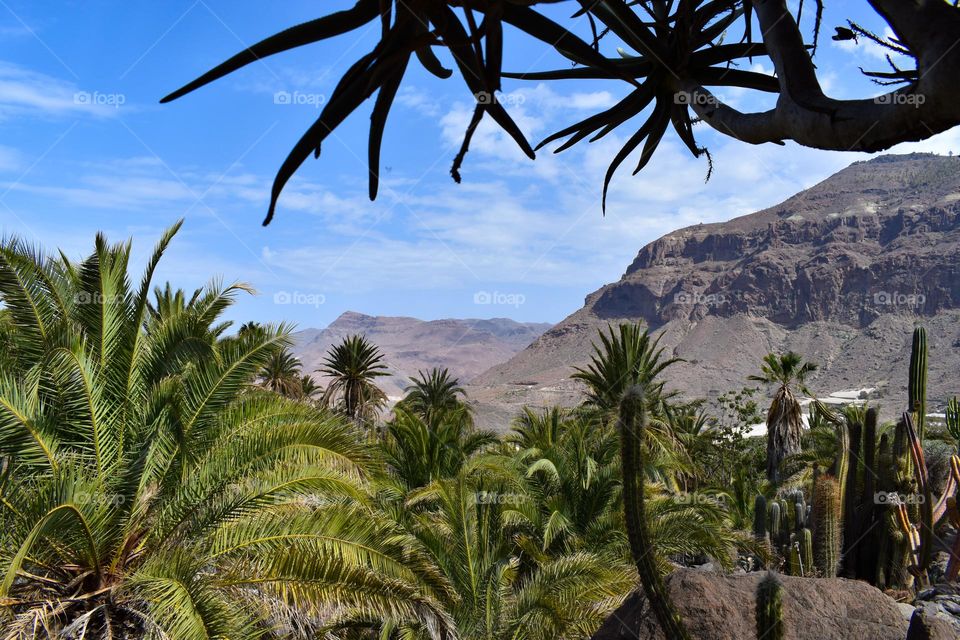 Gran Canaria