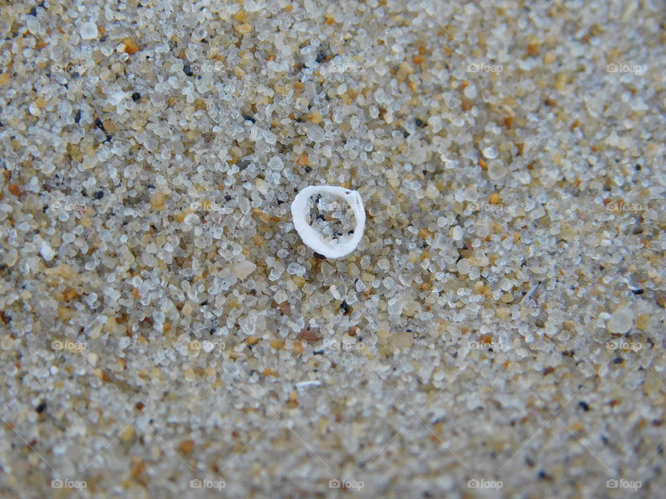 Grains of Sand with the Tiniest Sea Shell