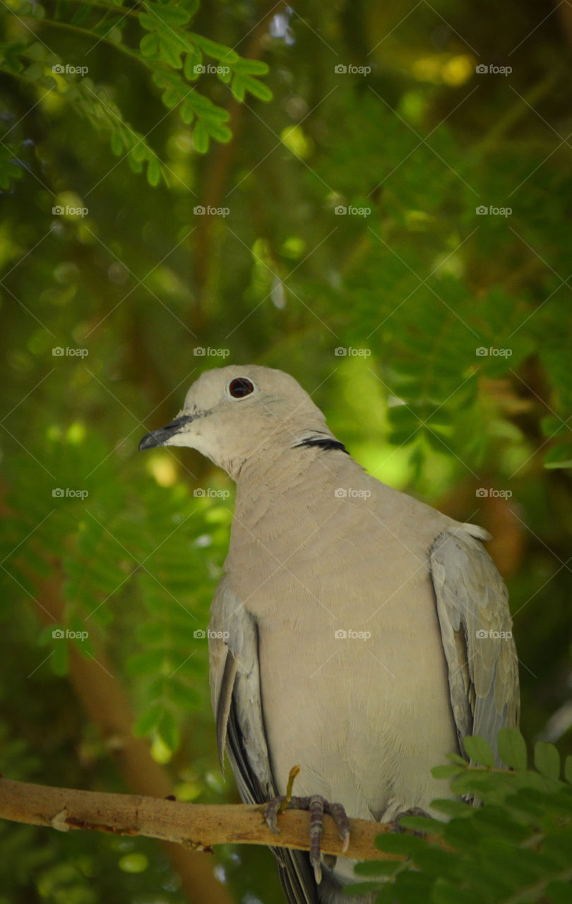 long waiting for someone