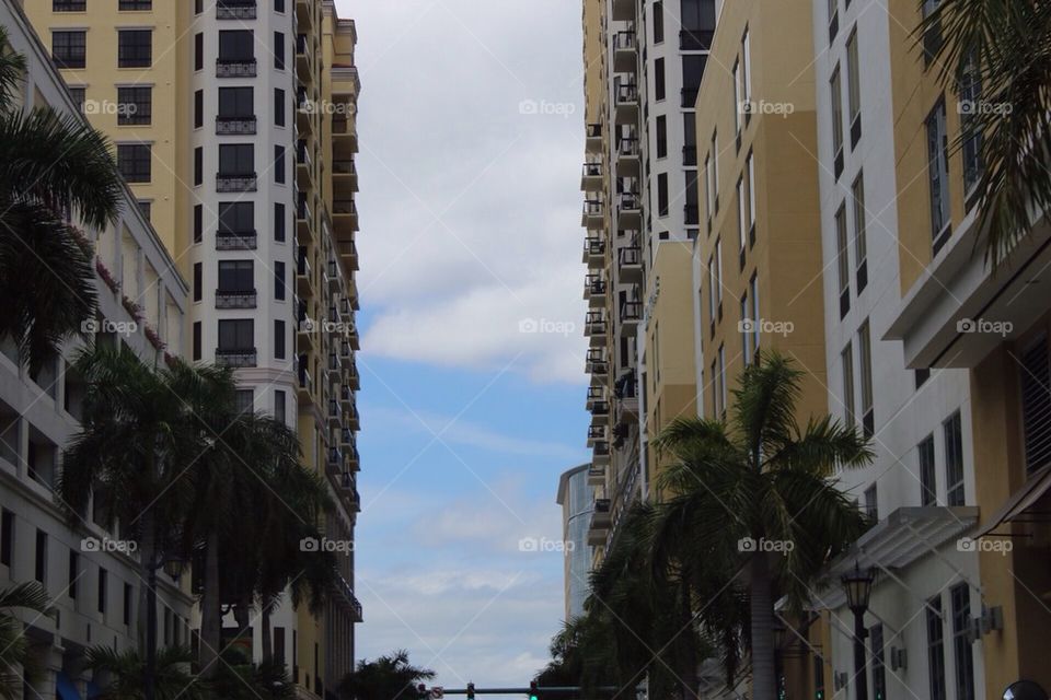 Buildings Palm Beach
