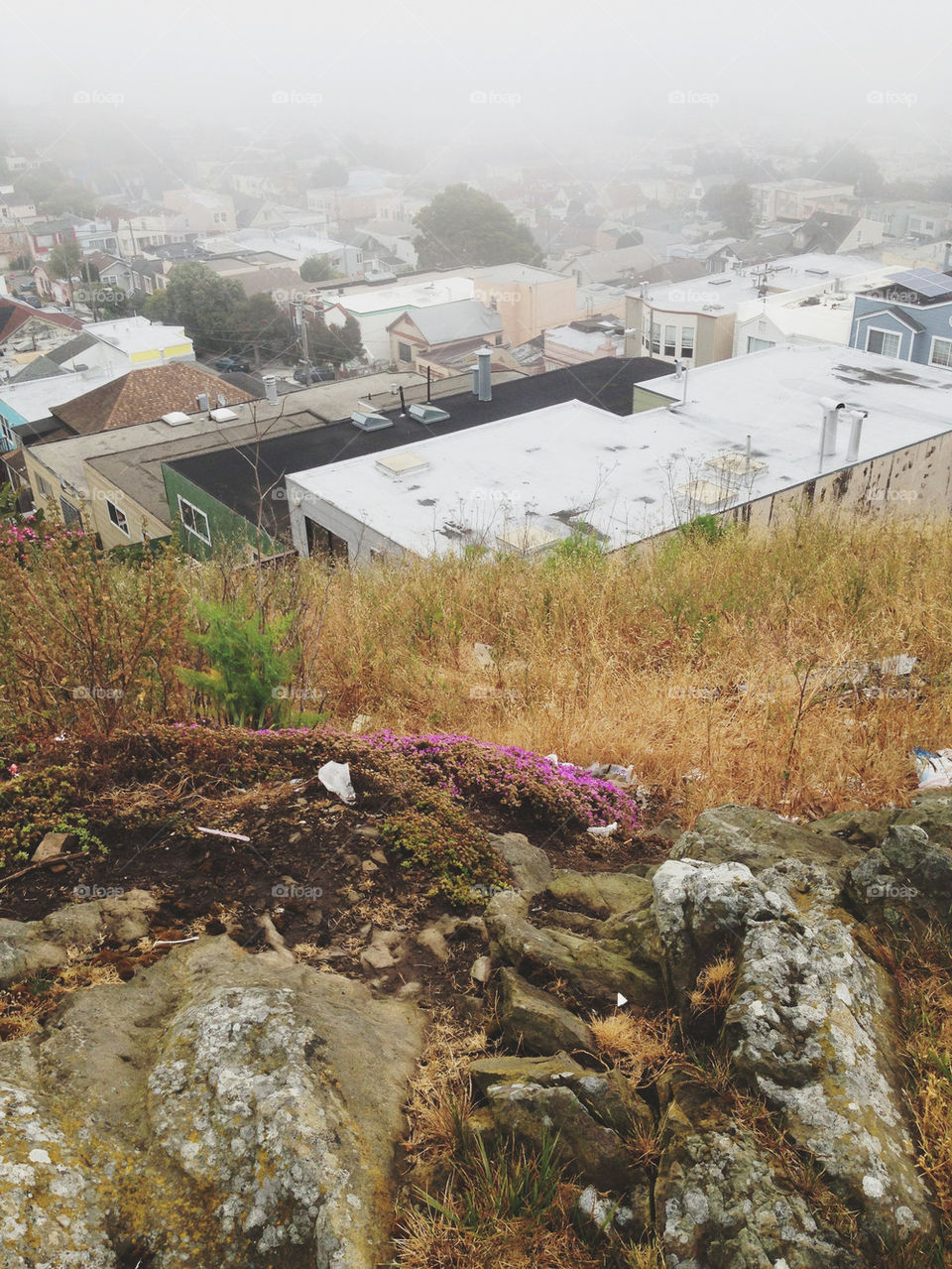 FOGGY MORNING VIEW FROM HILL