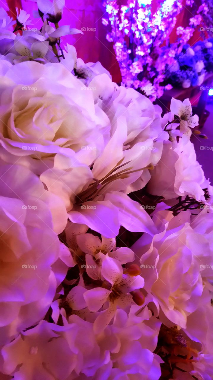 party flowers under colorful lights