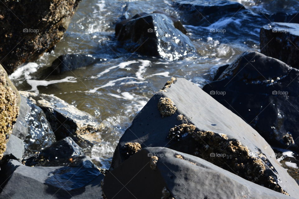 Barnacle crusted rock 