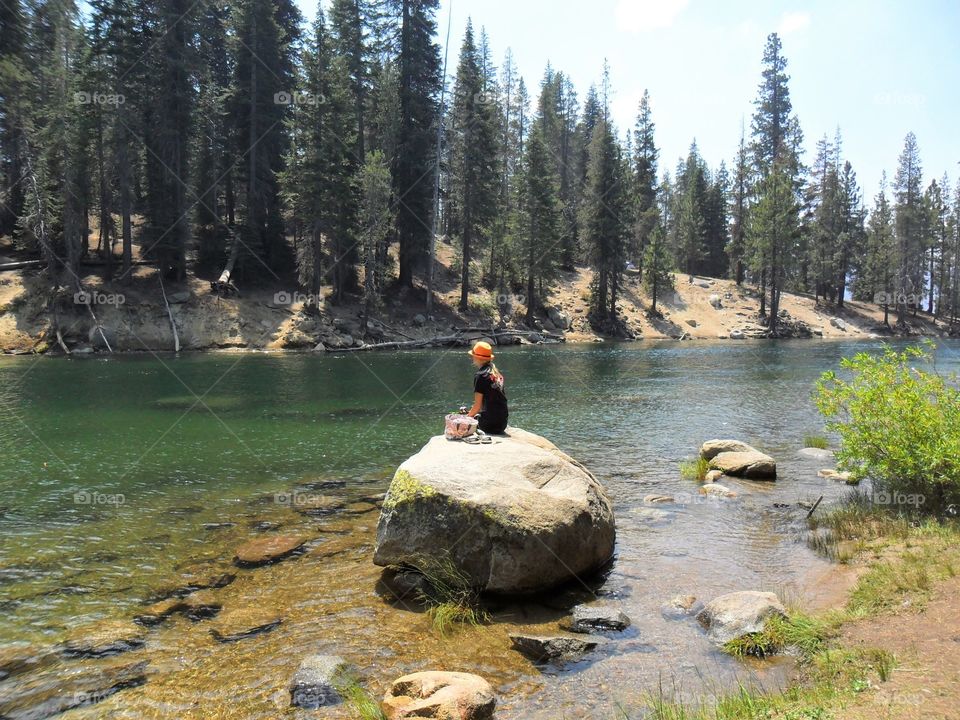 Water, Nature, Wood, No Person, Lake