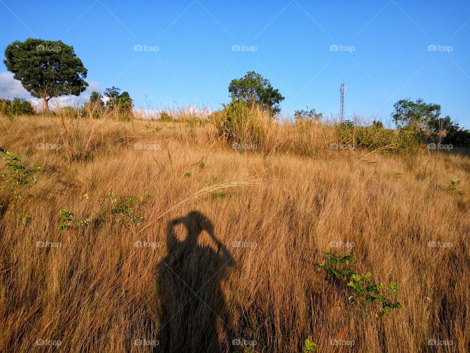 Shadow and light against landscape