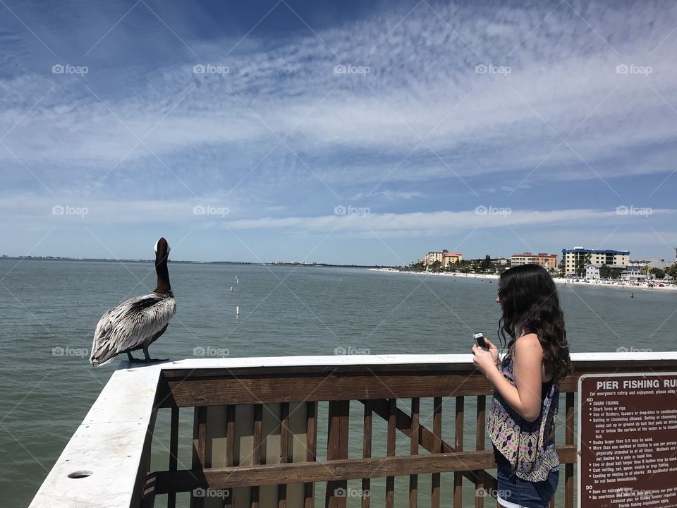 Girl looking at bird on dock