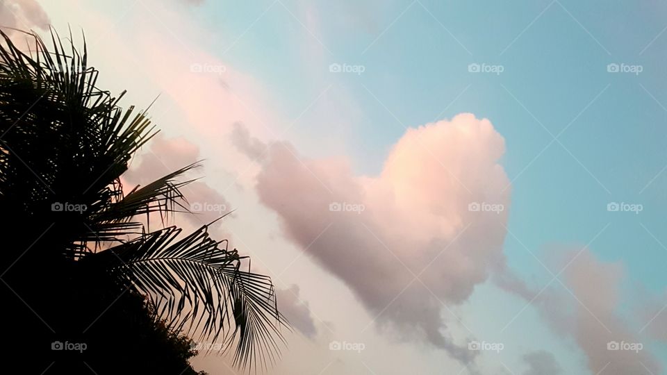 View of trees against sky at morning