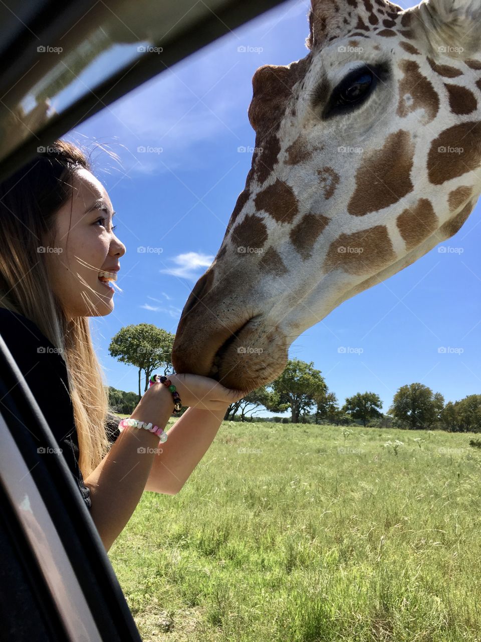 Feeding my friend giraffe