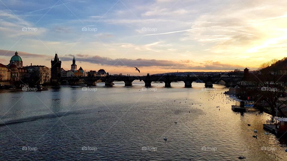 Water, River, No Person, City, Architecture