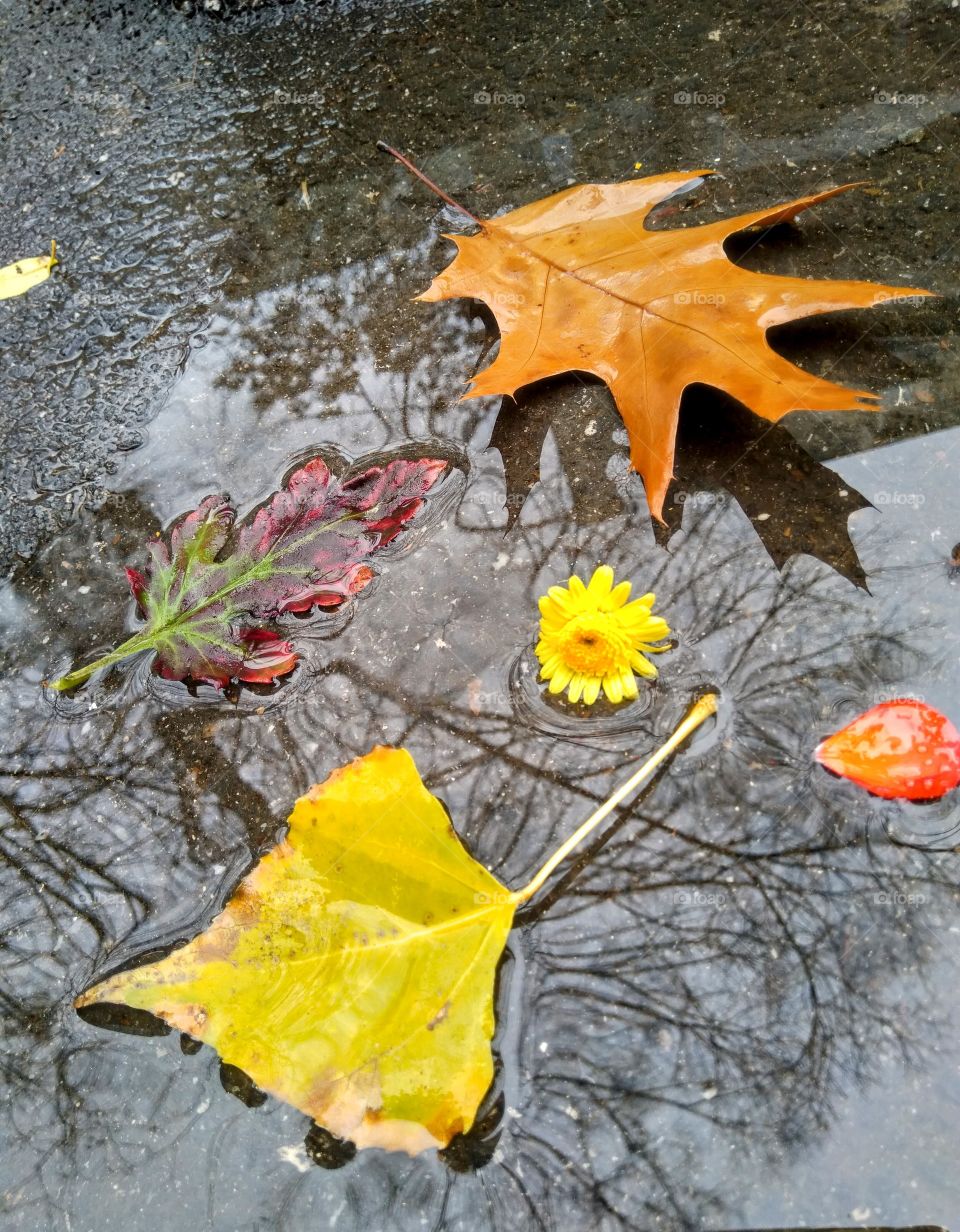 colors in the rain