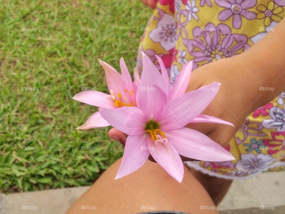 Girl offers pink flower from the Garden