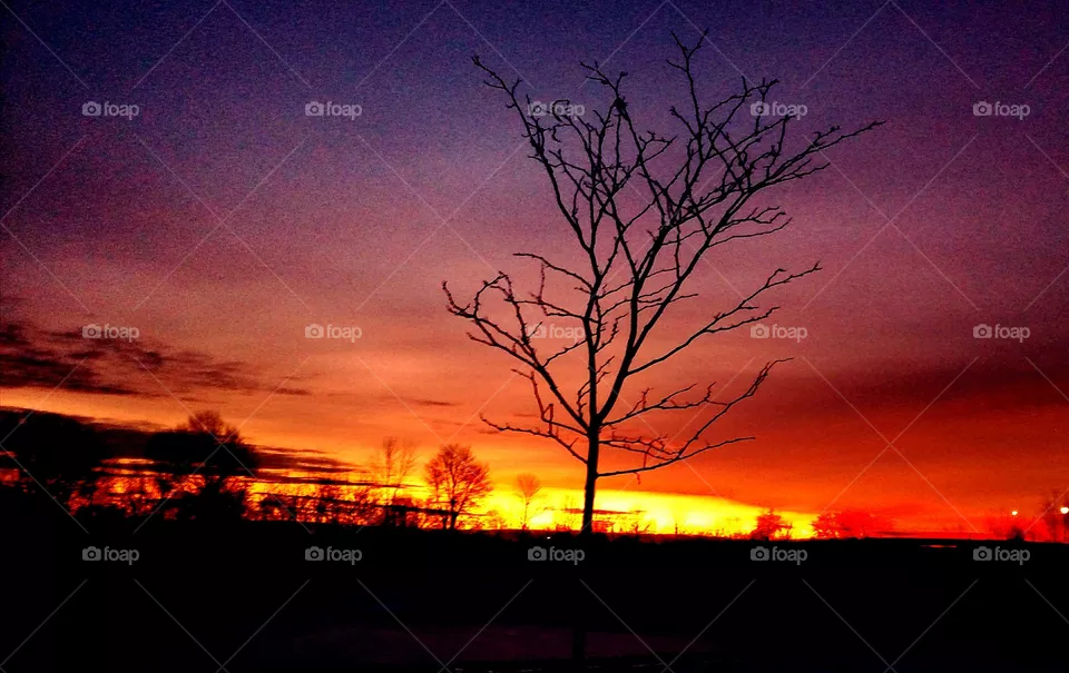 sunrise in Ohio