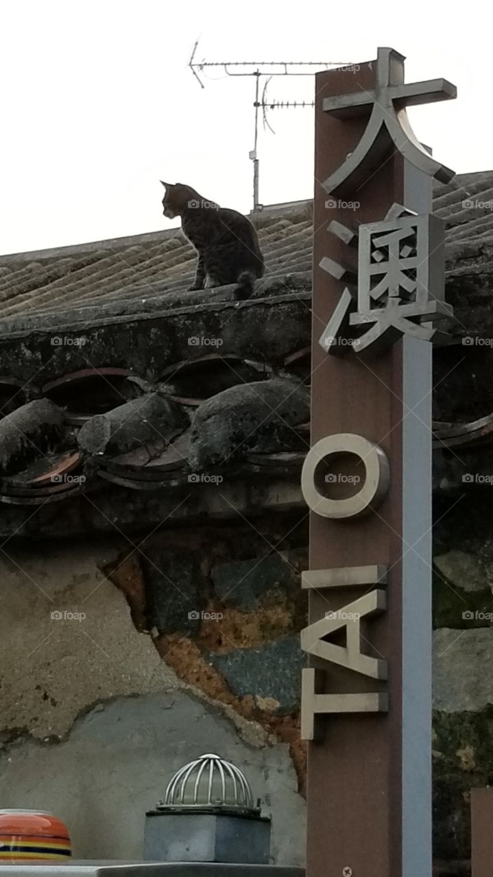 Tai O, Hong Kong