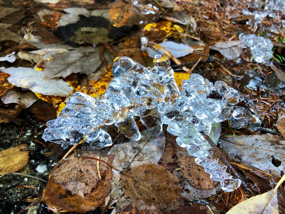 Awesome nature ice