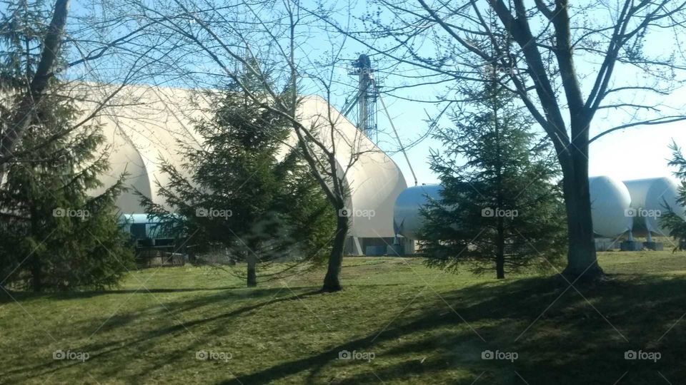 Tree, Landscape, Environment, No Person, Park