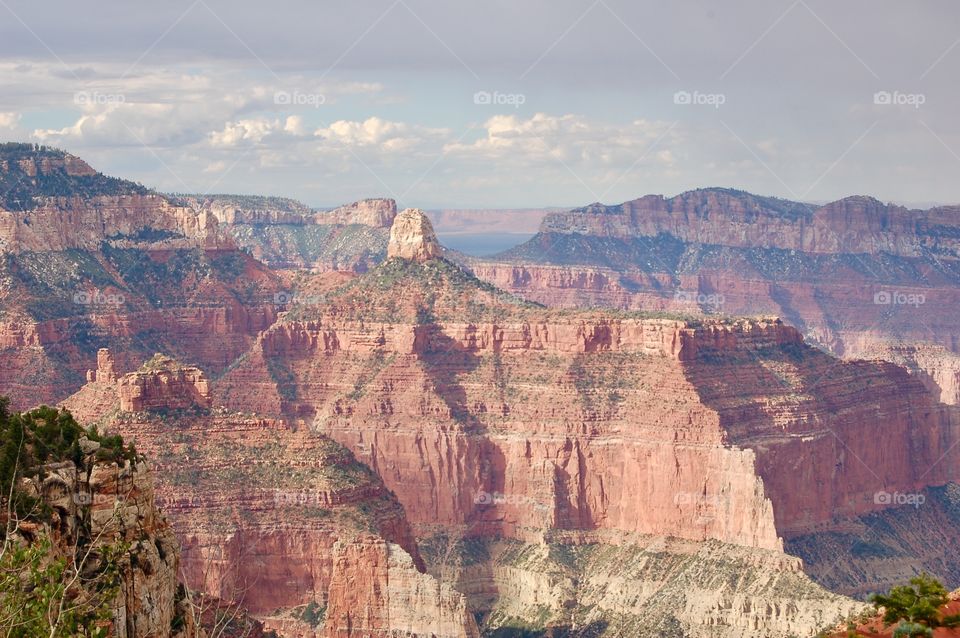 North Rim Of Grand Canyon