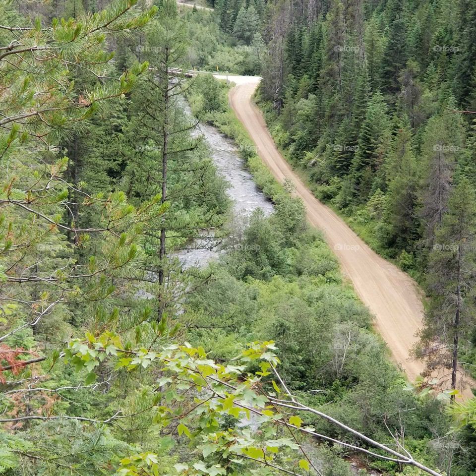 view of a mountain road with a creek running next to it and green trees