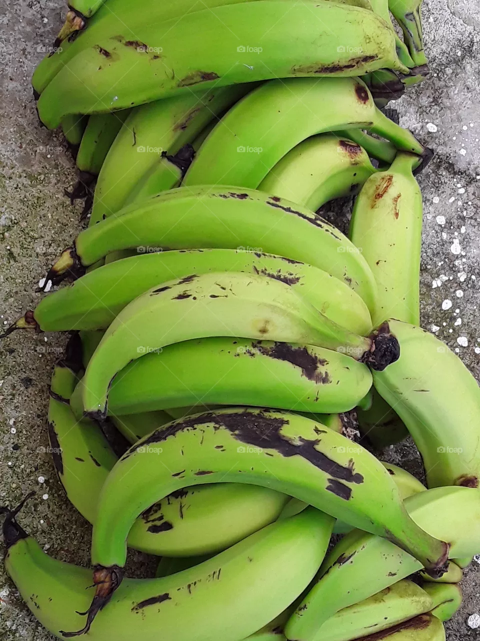 sycamore - bananas that are fried