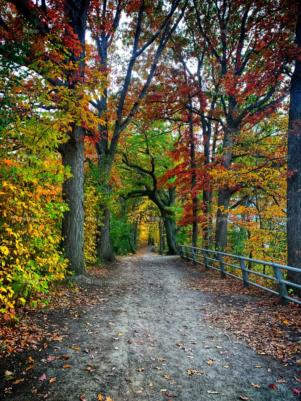 Walking in nature 