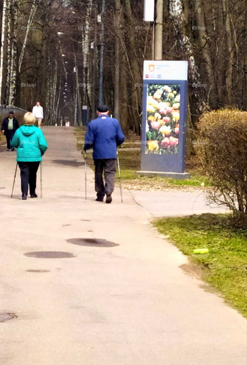 Park of Moscow.  An elderly couple is engaged in "Nordic walking"