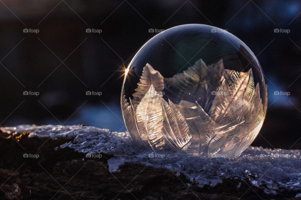 frozen bubble close-up