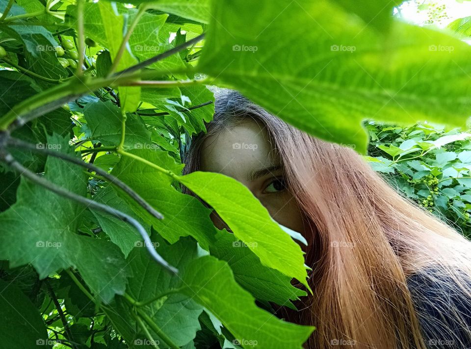 It is a photo of redhead girl with brown eyes. Her face is almost covered with green leaves. She is looking into a camera. We can see her one eye, brow and hair