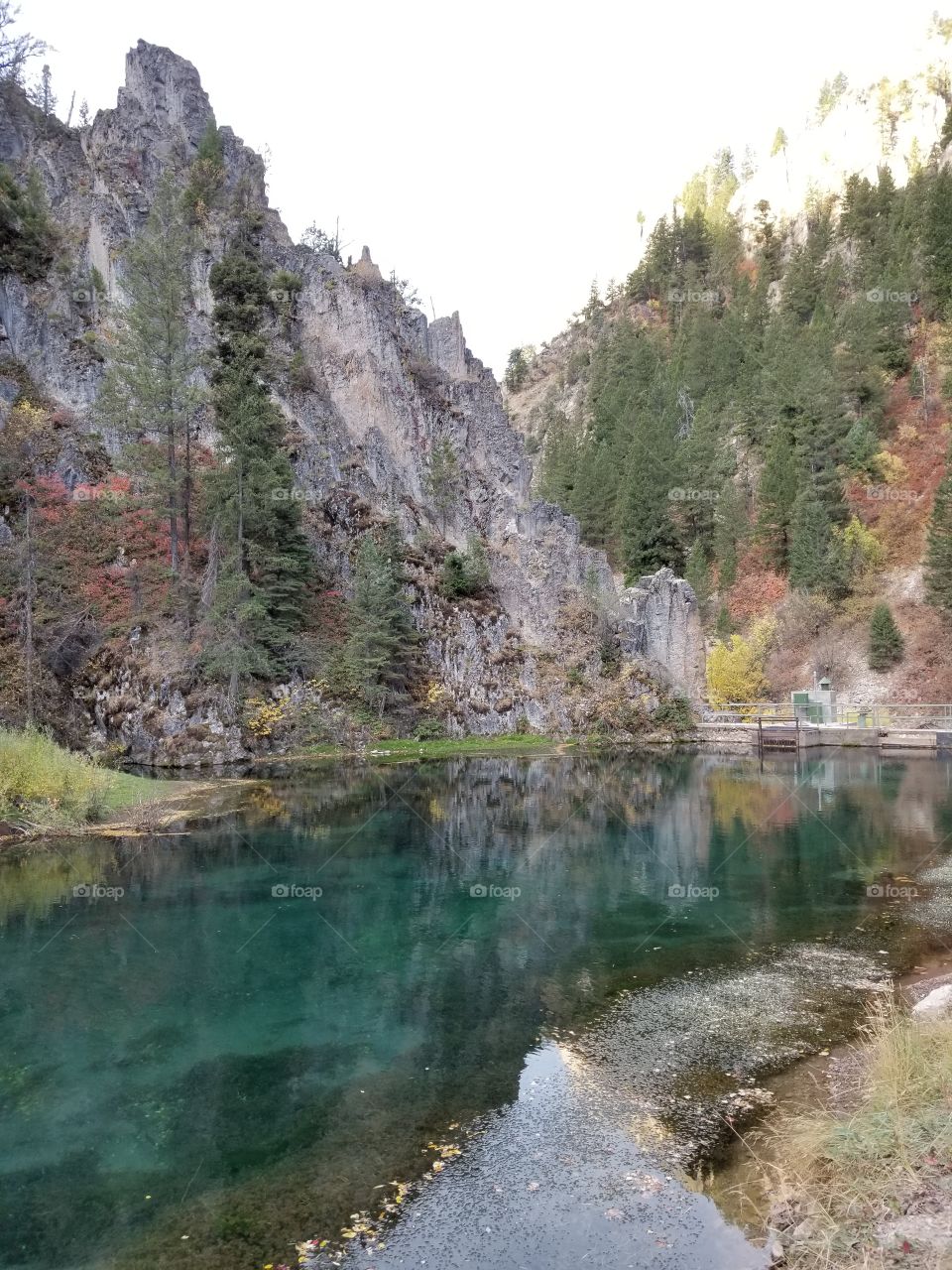 One of my favorite places in the world, an obscure canyon in Western Wyoming. Clear, cold water, with tons of visible trout.