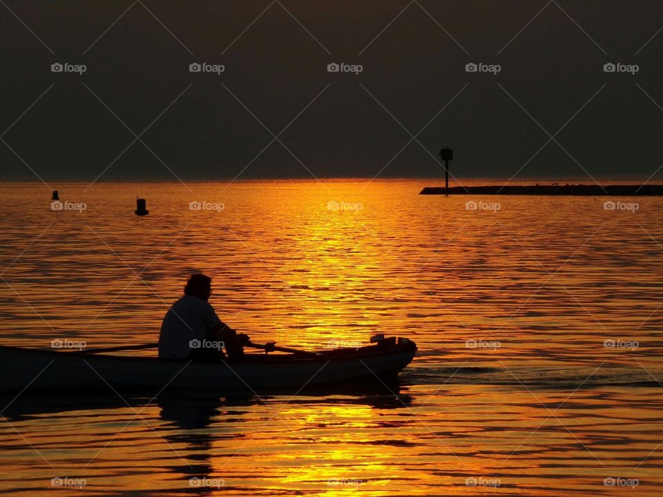 gliding across the calm still waters of the  bay