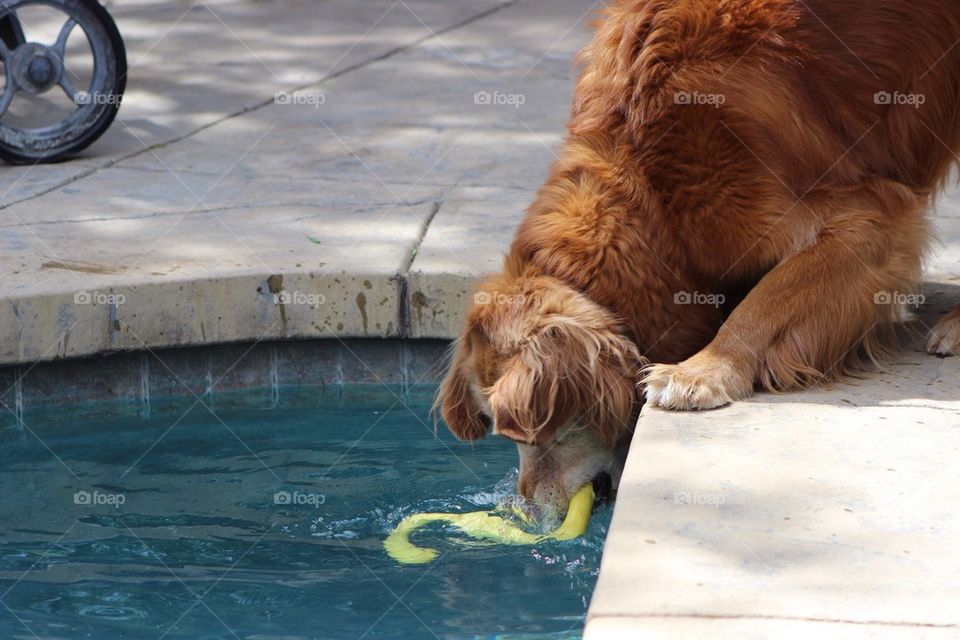 Water Play