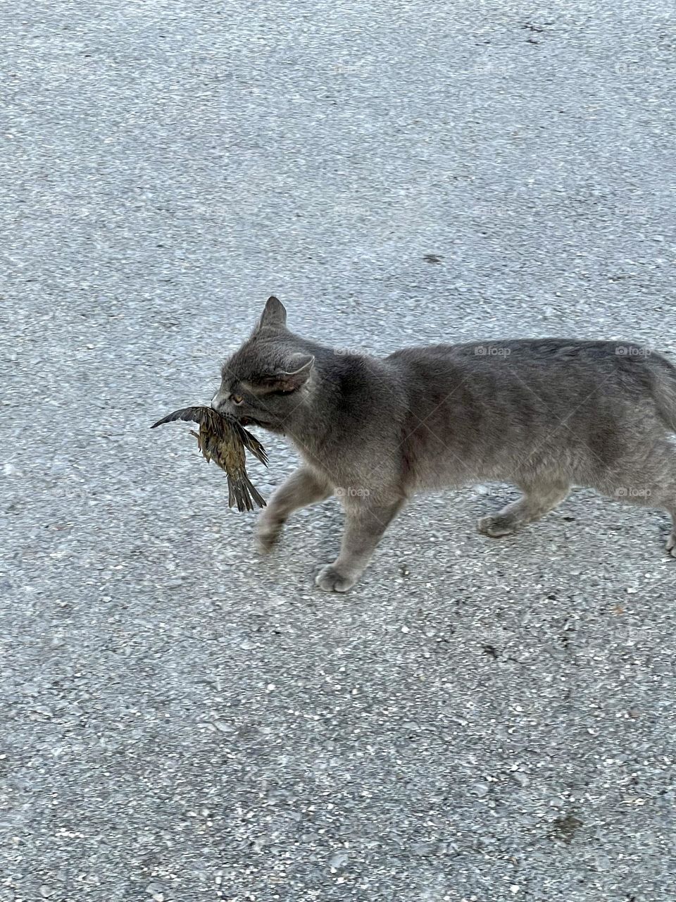 ‘’I caught something interesting hehe’’🤭