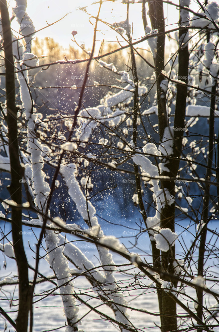 Snowy sunny day. Winter season, cold weather.