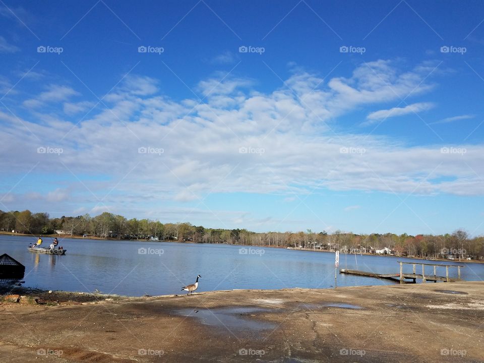 Blue skies at the lake