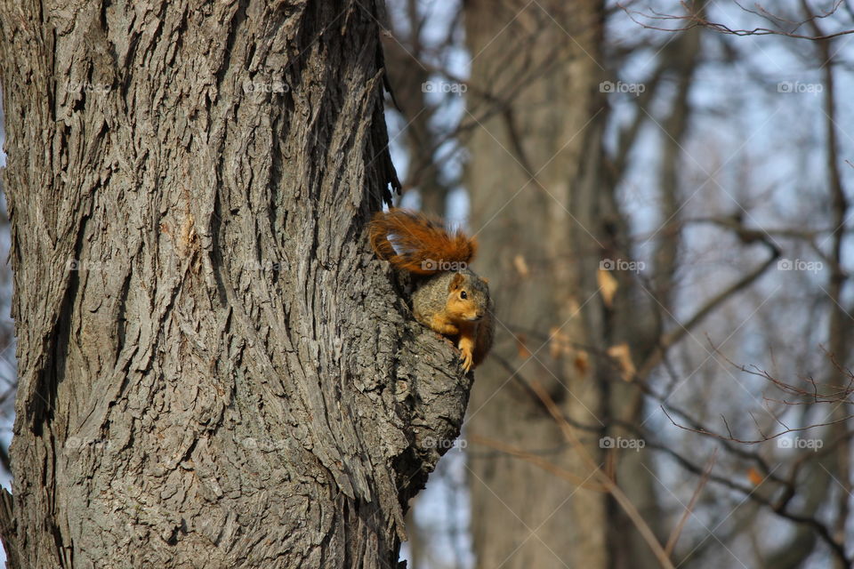 Hanging Out and squirreling away