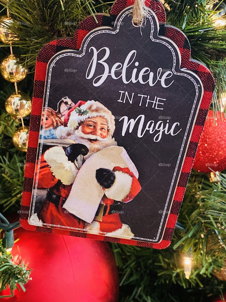 Christmas...Believe in the Magic 