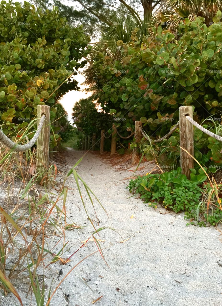 Trail through beautiful tropical countryside in South Florida.