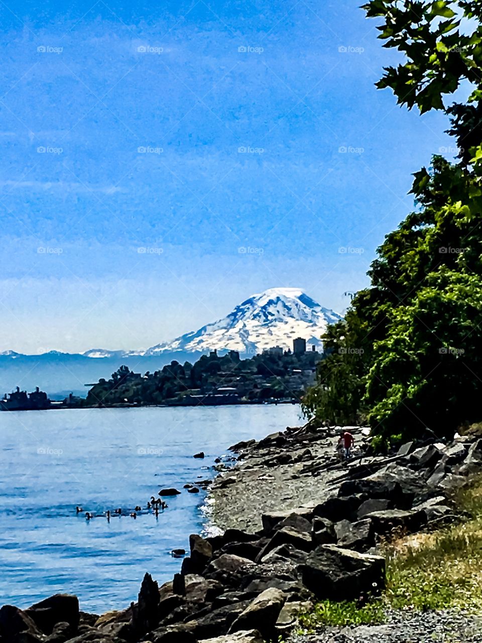 Summer Mountain View 