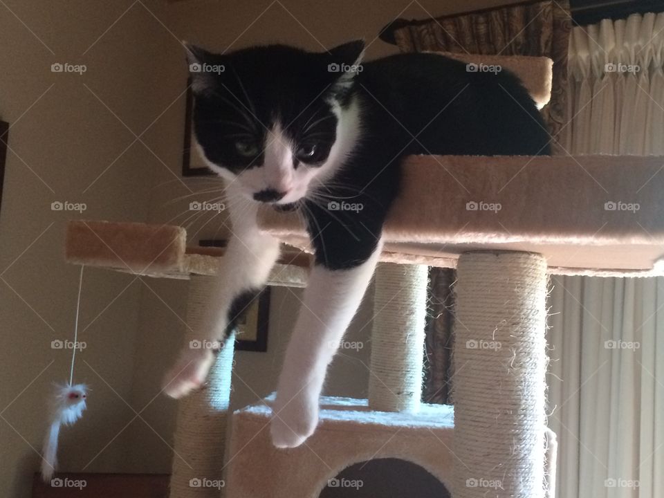 I really have no idea how to explain this