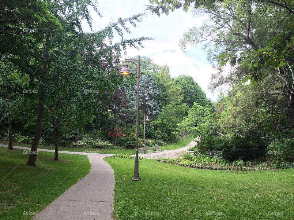 Park Walkway