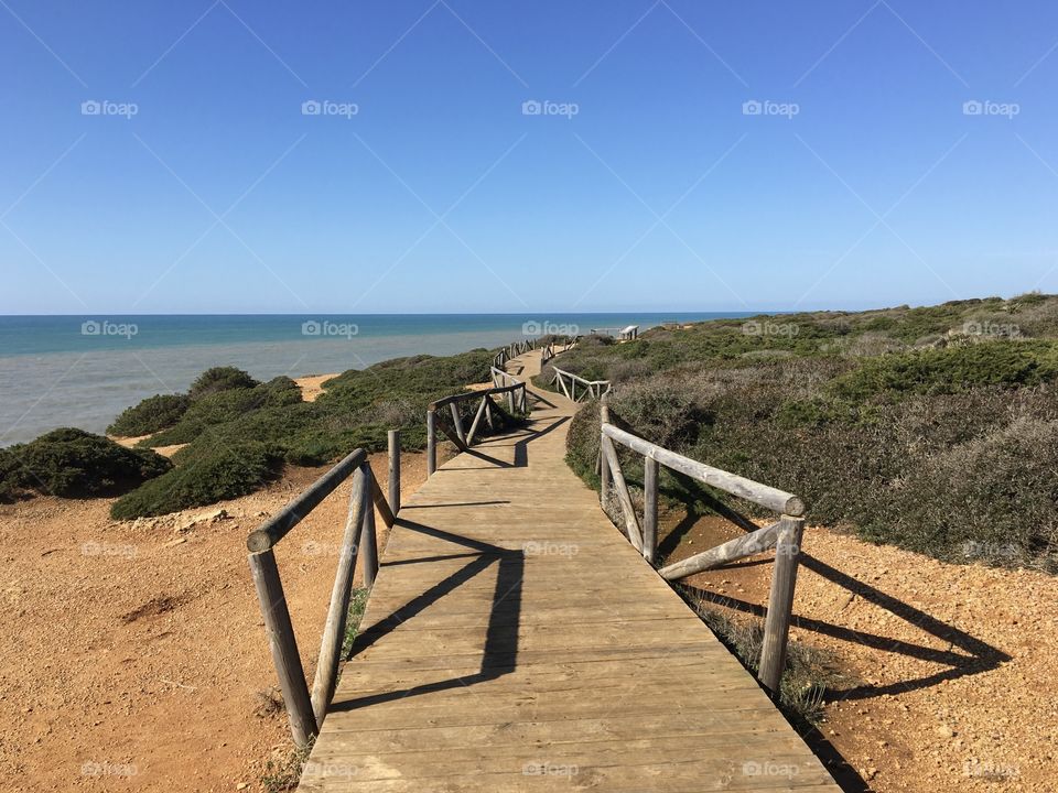 Walking among dunes on seashore 