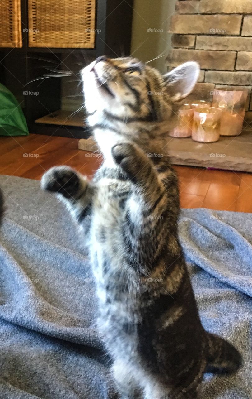 Ben trying to reach a toy