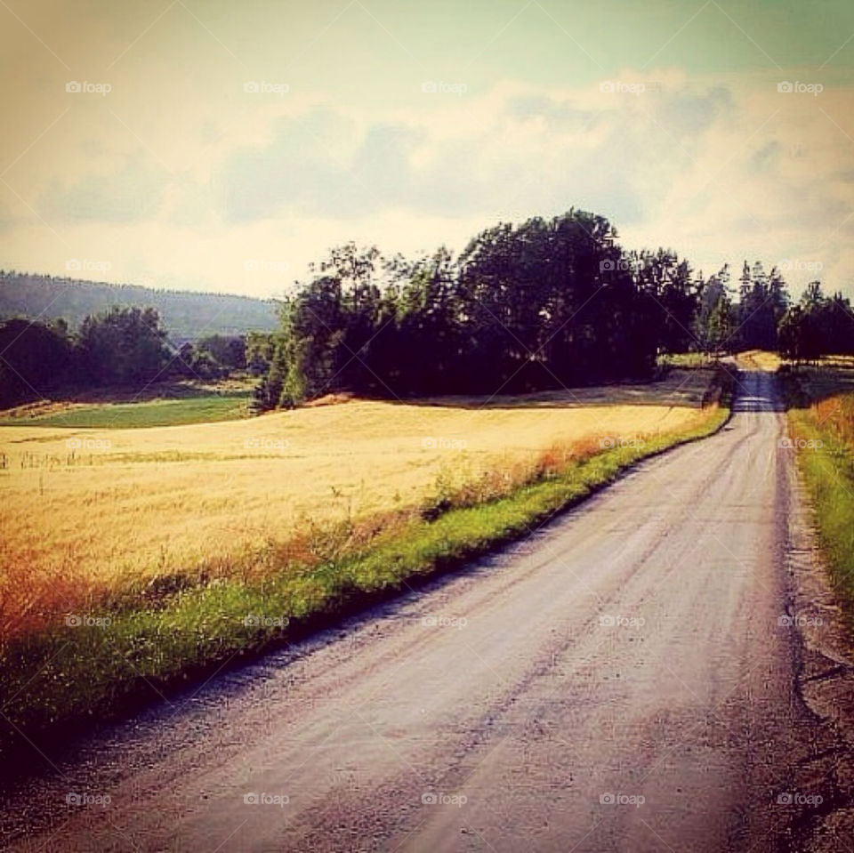 A road trough countryside