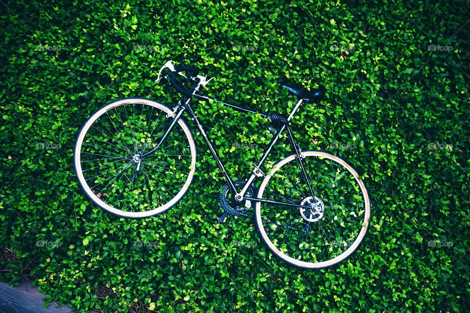 cycling beauty