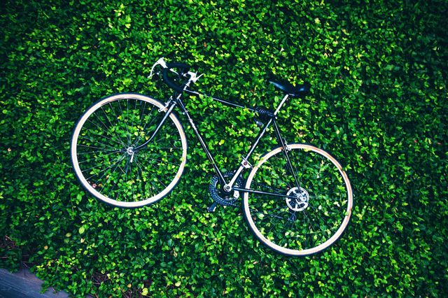 cycling beauty