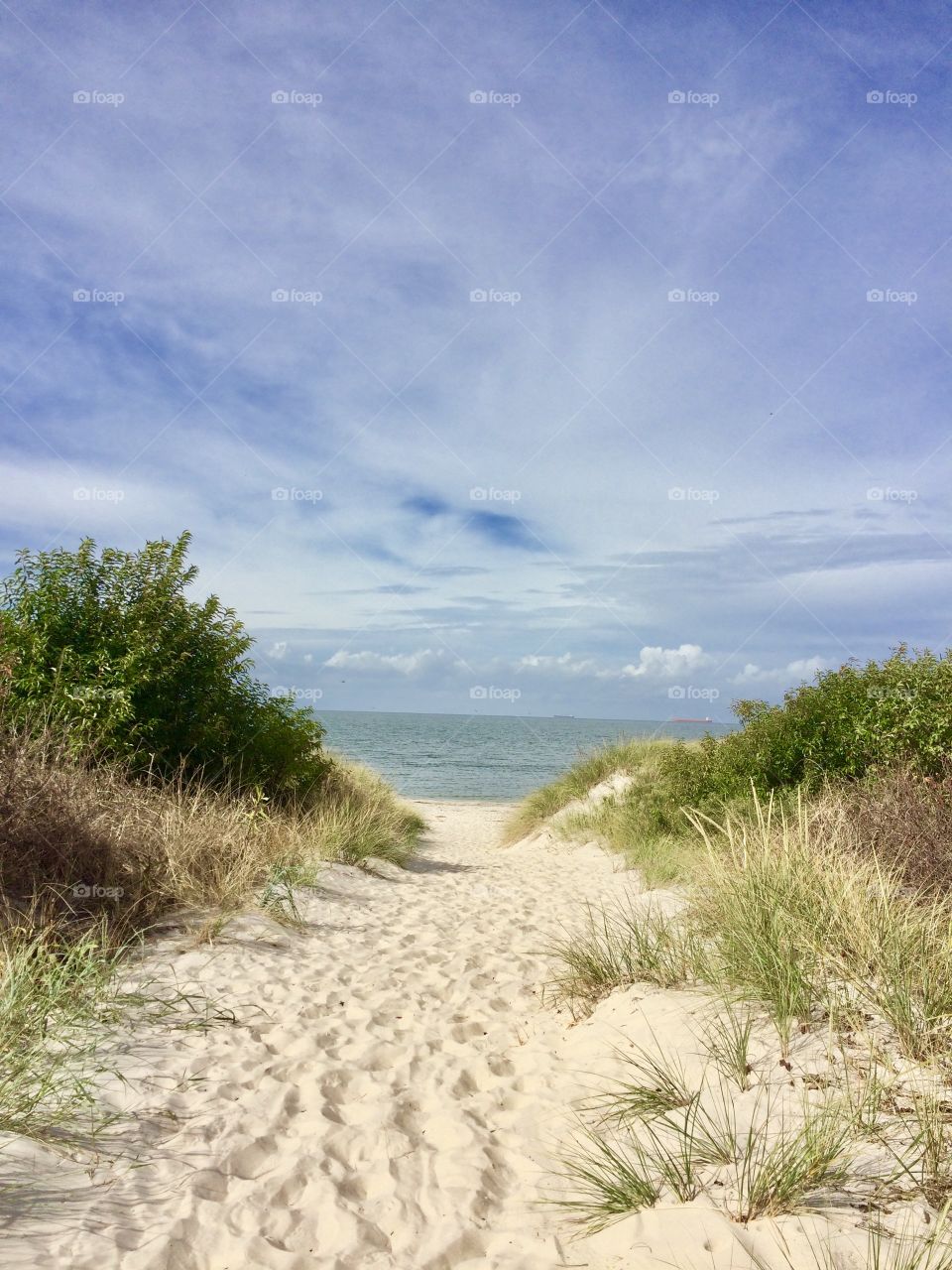 Path to Ocean