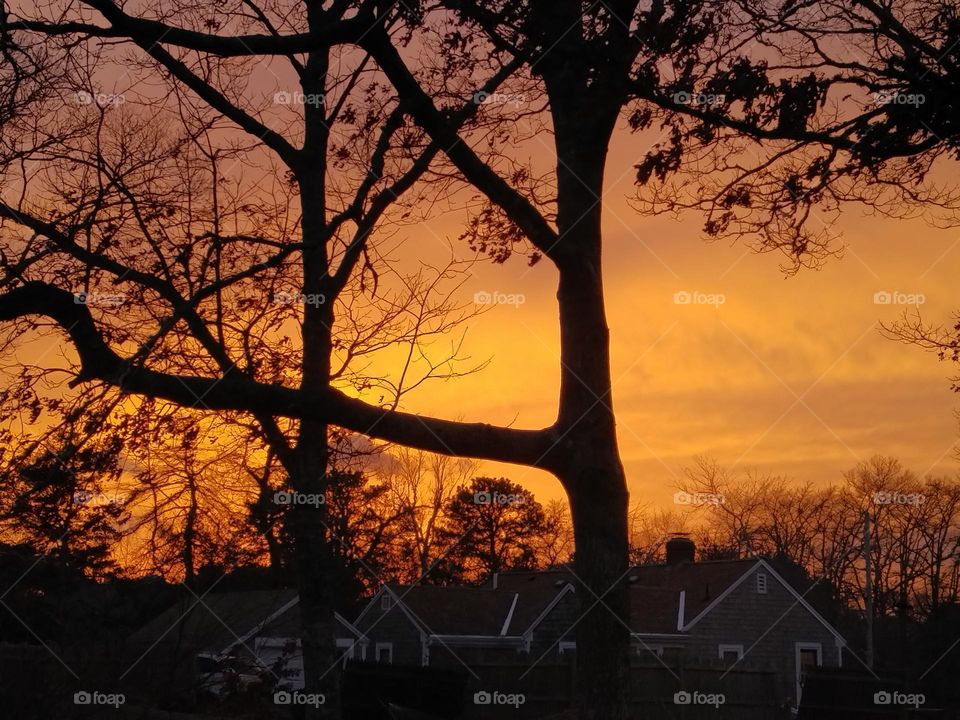 February Sunset, Long Pond, Cape Cod
