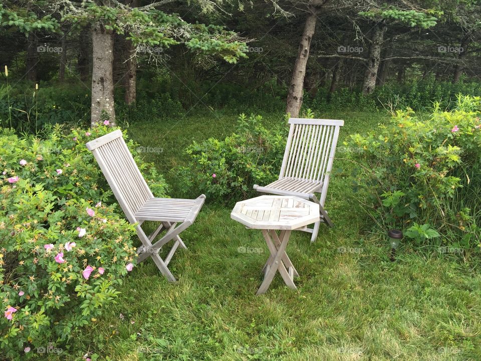 Seating among the wild roses
